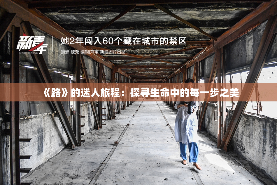 《路》的迷人旅程：探寻生命中的每一步之美