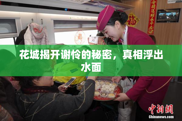花城揭开谢怜的秘密，真相浮出水面