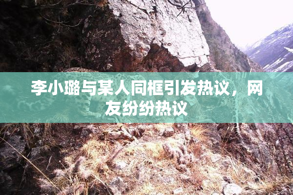 李小璐与某人同框引发热议，网友纷纷热议
