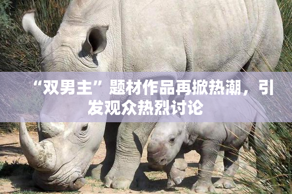 “双男主”题材作品再掀热潮，引发观众热烈讨论