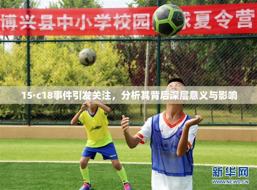 15·c18事件引发关注，分析其背后深层意义与影响
