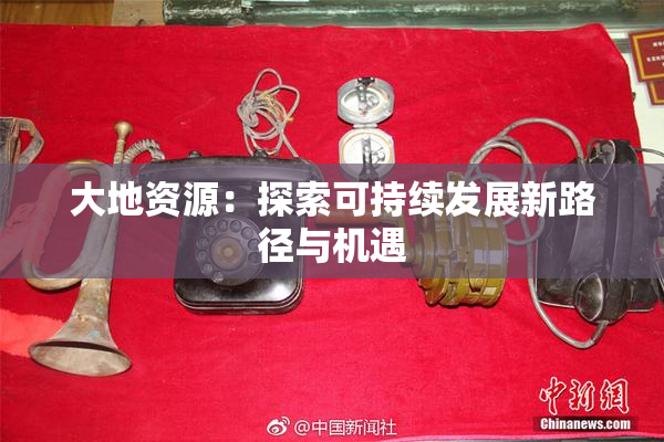 大地资源：探索可持续发展新路径与机遇