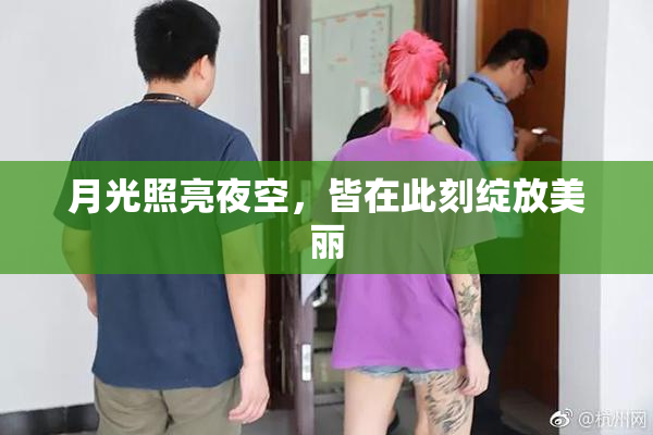 月光照亮夜空，皆在此刻绽放美丽