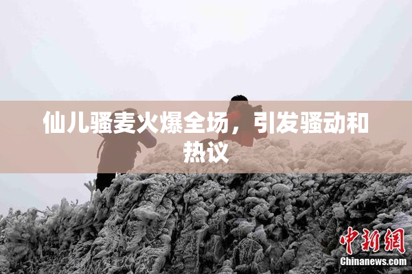 仙儿骚麦火爆全场，引发骚动和热议