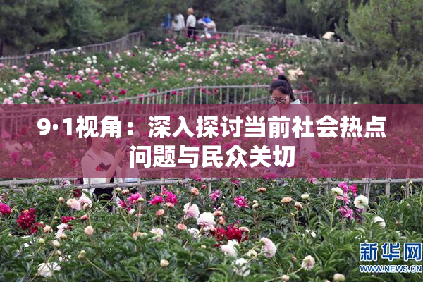 9·1视角：深入探讨当前社会热点问题与民众关切