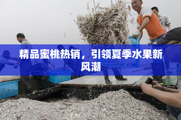 精品蜜桃热销，引领夏季水果新风潮