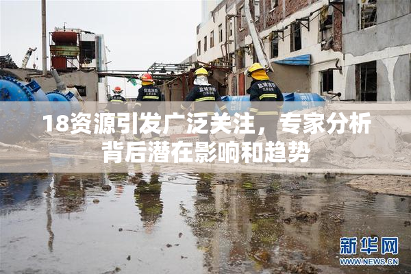 18资源引发广泛关注，专家分析背后潜在影响和趋势