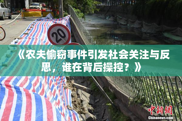 《农夫偷窃事件引发社会关注与反思，谁在背后操控？》