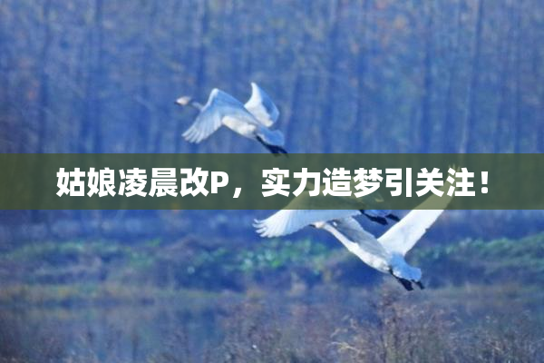 姑娘凌晨改P，实力造梦引关注！