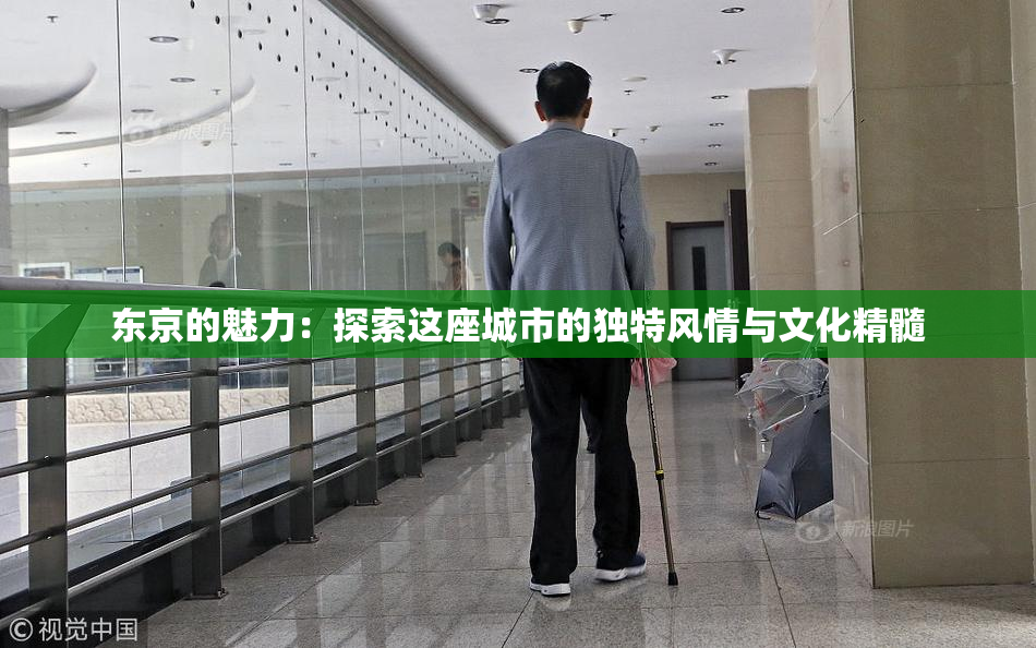 东京的魅力：探索这座城市的独特风情与文化精髓