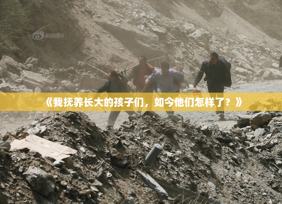 《我抚养长大的孩子们，如今他们怎样了？》