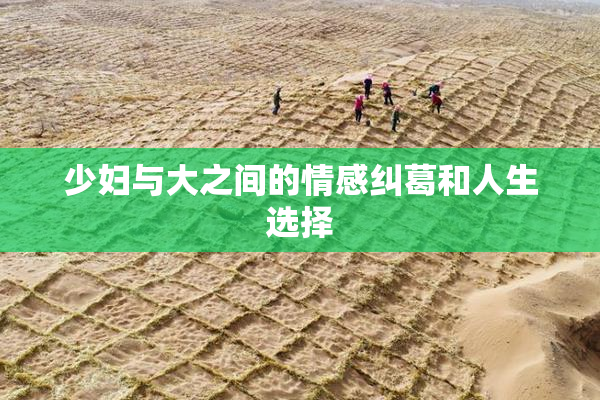 少妇与大之间的情感纠葛和人生选择
