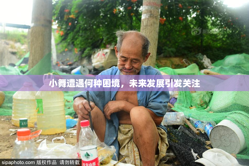 小舞遭遇何种困境，未来发展引发关注