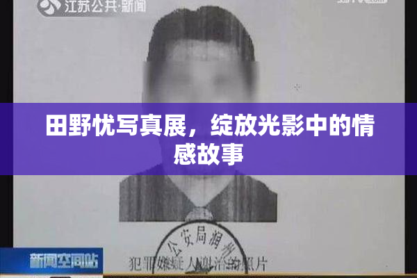 田野忧写真展，绽放光影中的情感故事