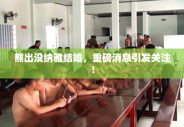 熊出没纳雅结婚，重磅消息引发关注！