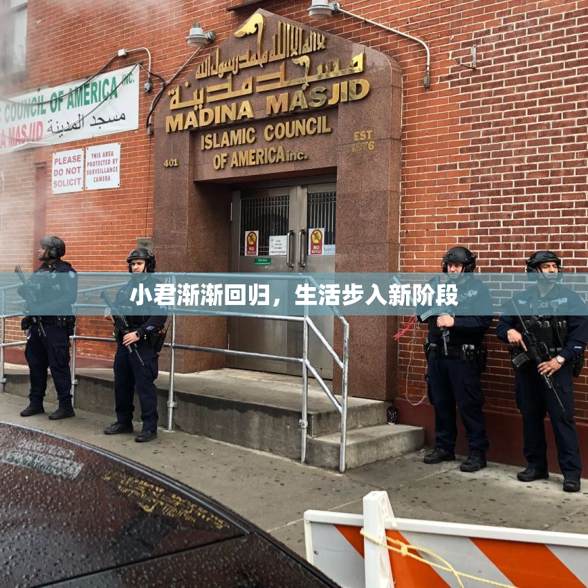 小君渐渐回归，生活步入新阶段