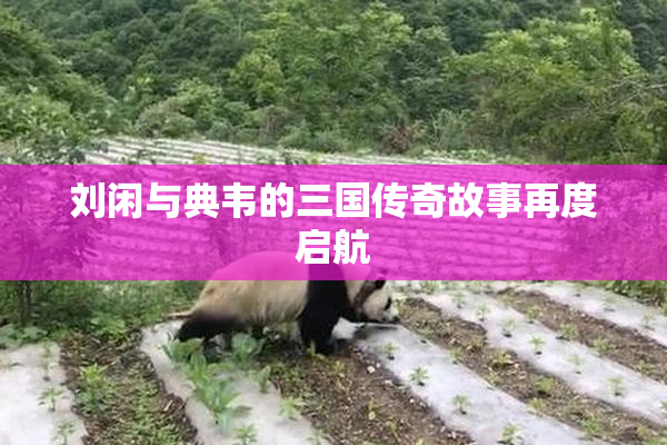 刘闲与典韦的三国传奇故事再度启航