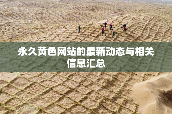 永久黄色网站的最新动态与相关信息汇总