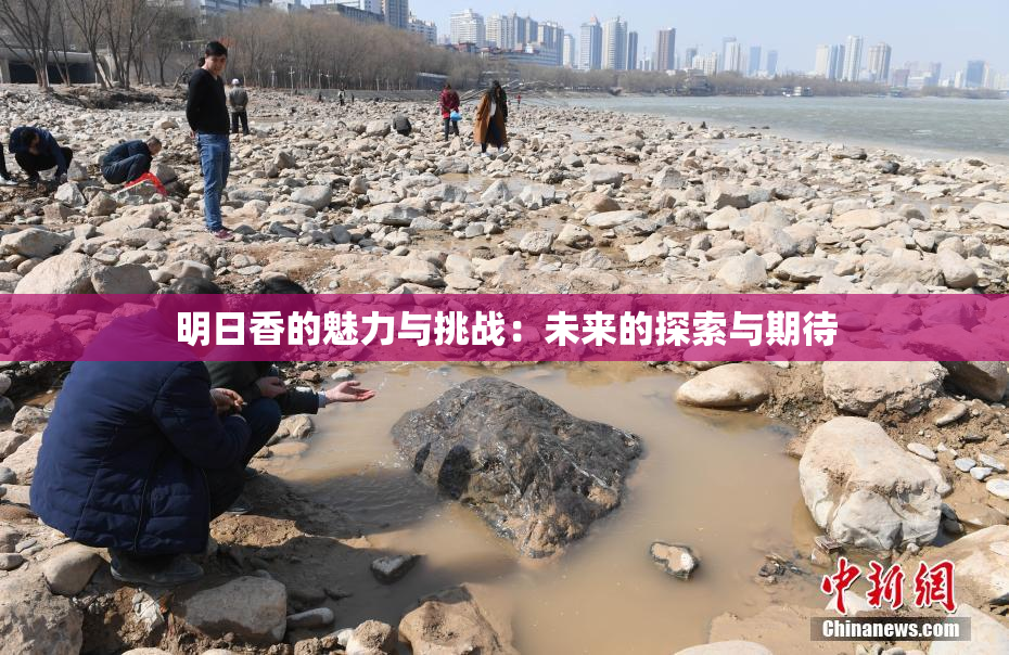 明日香的魅力与挑战：未来的探索与期待