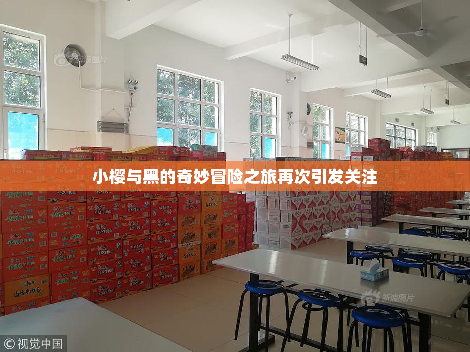 小樱与黑的奇妙冒险之旅再次引发关注