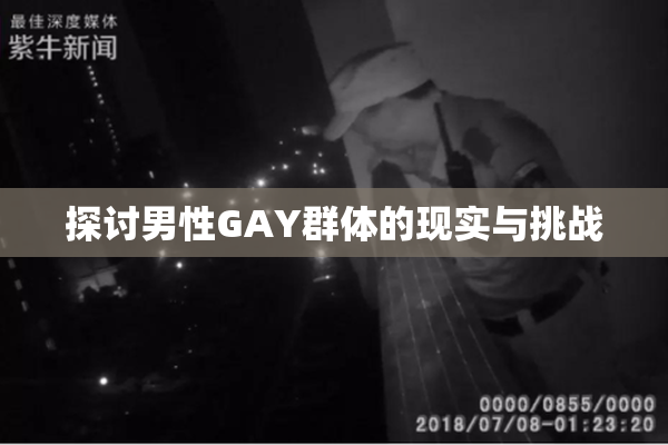 探讨男性GAY群体的现实与挑战