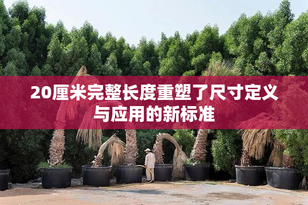 20厘米完整长度重塑了尺寸定义与应用的新标准