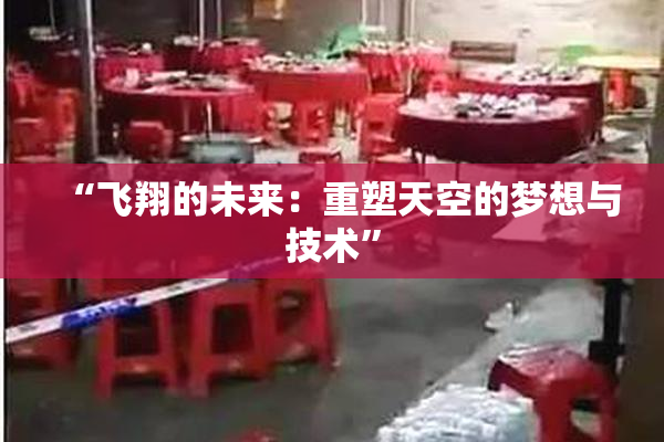 “飞翔的未来：重塑天空的梦想与技术”