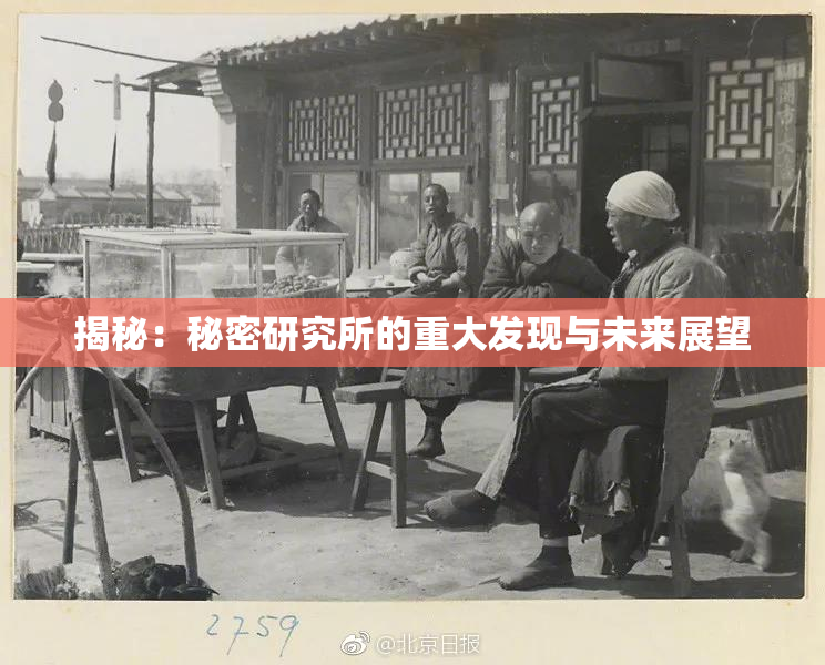 揭秘：秘密研究所的重大发现与未来展望