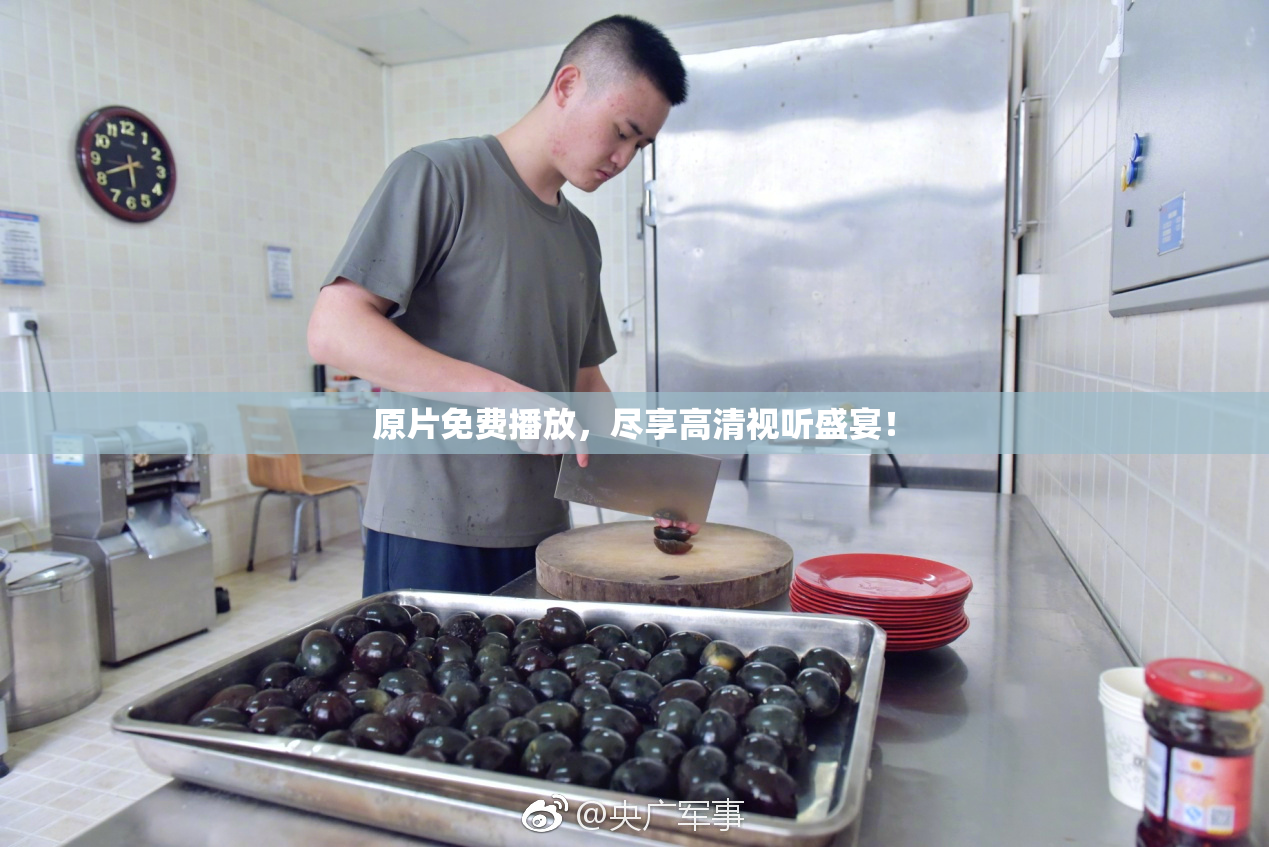原片免费播放，尽享高清视听盛宴！