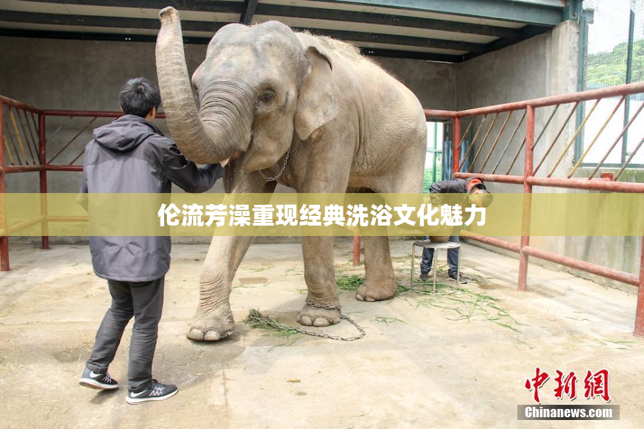 伦流芳澡重现经典洗浴文化魅力