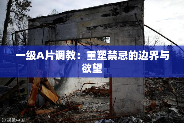 一级A片调教：重塑禁忌的边界与欲望