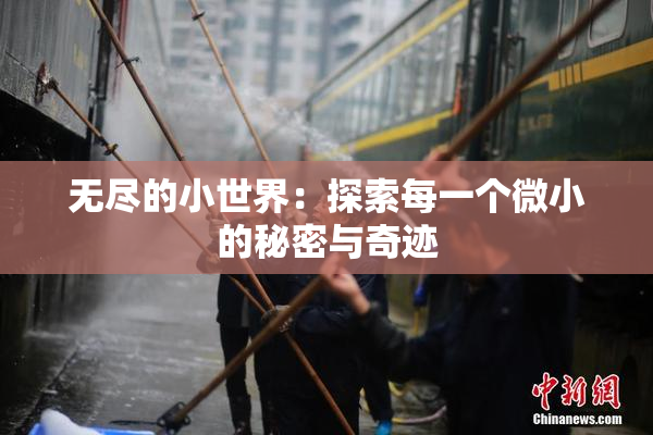 无尽的小世界：探索每一个微小的秘密与奇迹