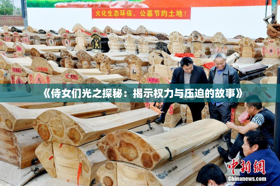 《侍女们光之探秘：揭示权力与压迫的故事》