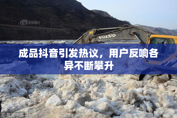 成品抖音引发热议，用户反响各异不断攀升