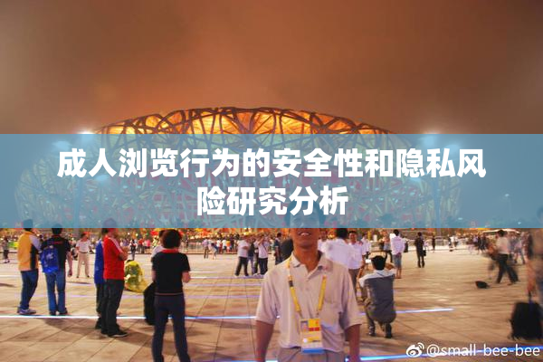 成人浏览行为的安全性和隐私风险研究分析