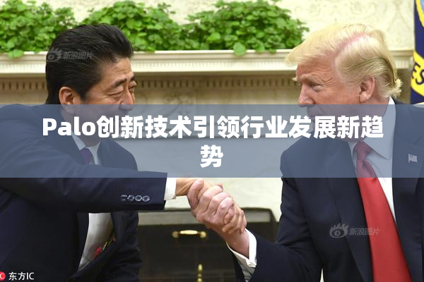 Palo创新技术引领行业发展新趋势