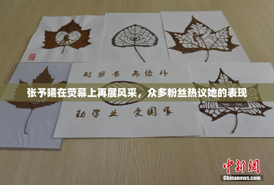 张予曦在荧幕上再展风采，众多粉丝热议她的表现