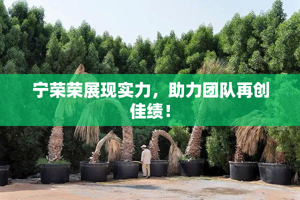 宁荣荣展现实力，助力团队再创佳绩！