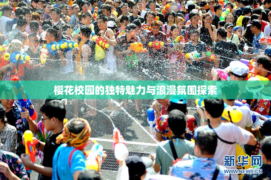 樱花校园的独特魅力与浪漫氛围探索