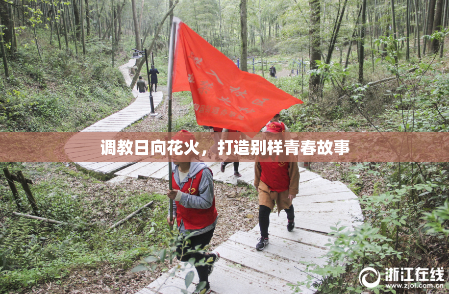 调教日向花火，打造别样青春故事