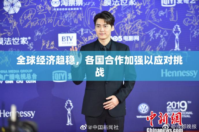 全球经济趋稳，各国合作加强以应对挑战