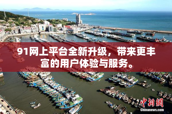 91网上平台全新升级，带来更丰富的用户体验与服务。