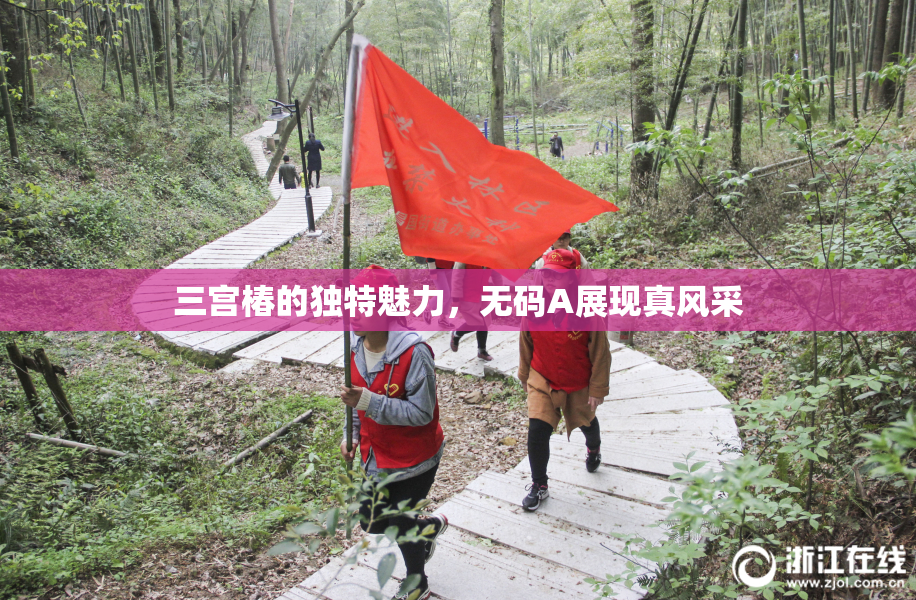 三宫椿的独特魅力，无码A展现真风采