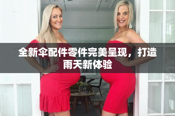 全新伞配件零件完美呈现，打造雨天新体验