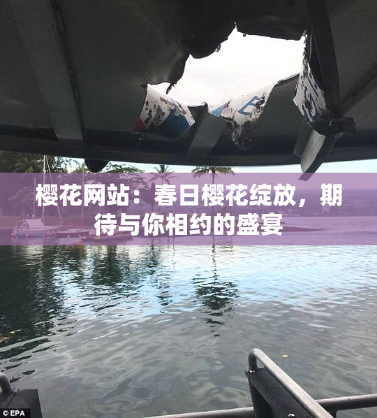 樱花网站：春日樱花绽放，期待与你相约的盛宴