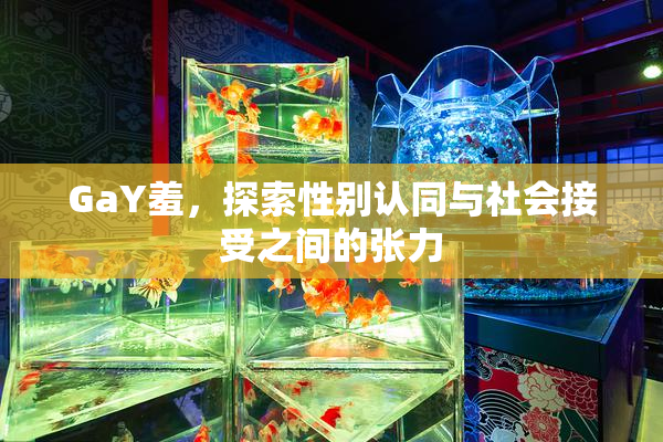 GaY羞，探索性别认同与社会接受之间的张力