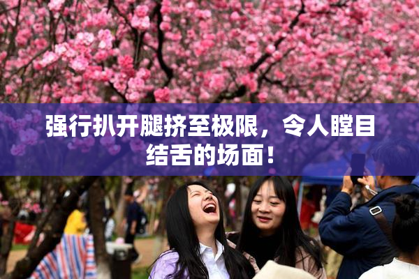 强行扒开腿挤至极限，令人瞠目结舌的场面！
