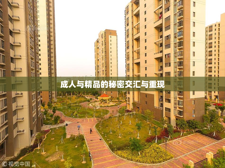 成人与精品的秘密交汇与重现