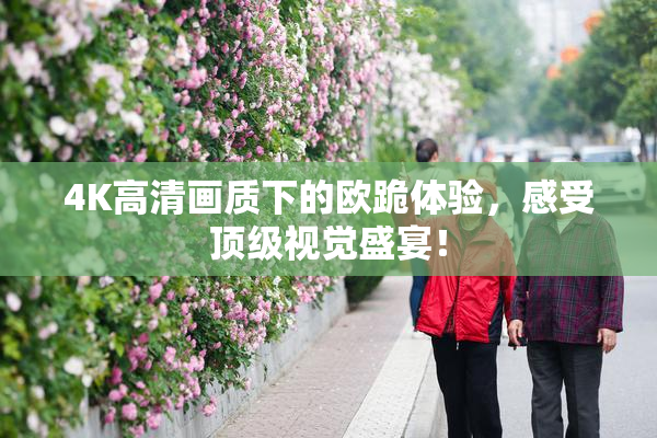 4K高清画质下的欧跪体验，感受顶级视觉盛宴！