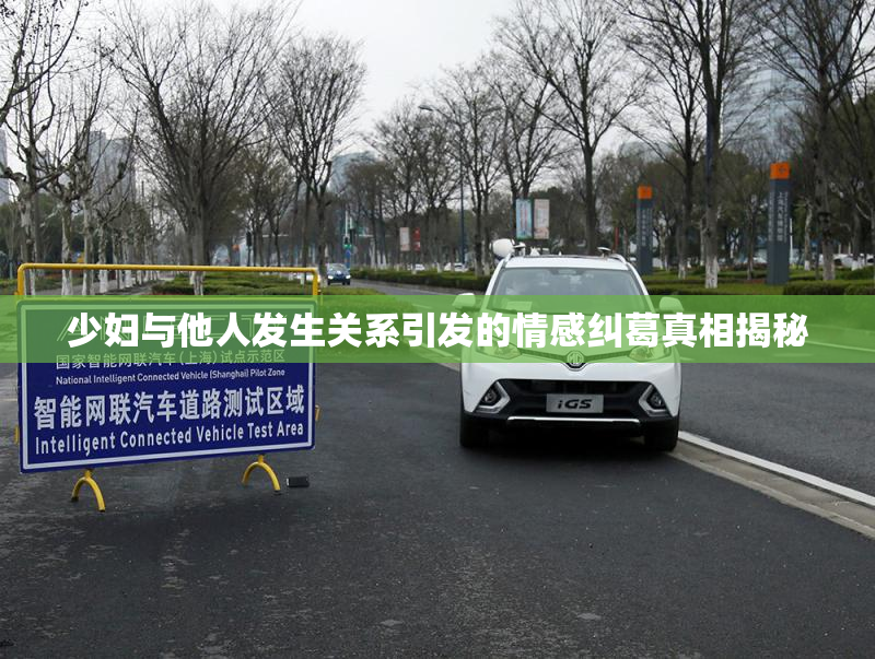 少妇与他人发生关系引发的情感纠葛真相揭秘